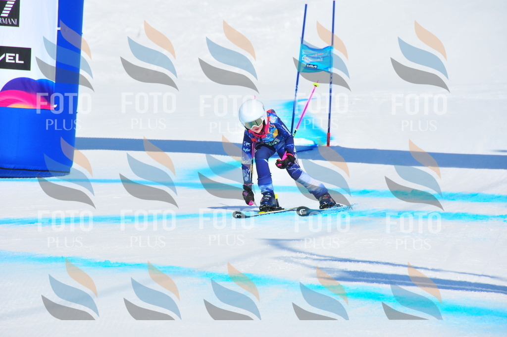 DSC_1046 | holidayphoto