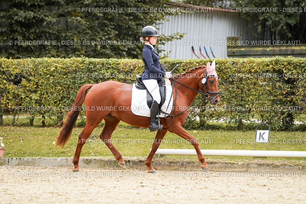 DSC09732 | Pferdegrafie