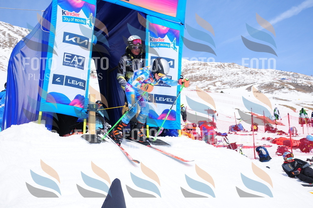 DSC_6786 | holidayphoto