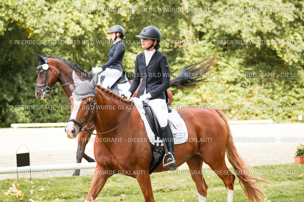 DSC02127 | Pferdegrafie