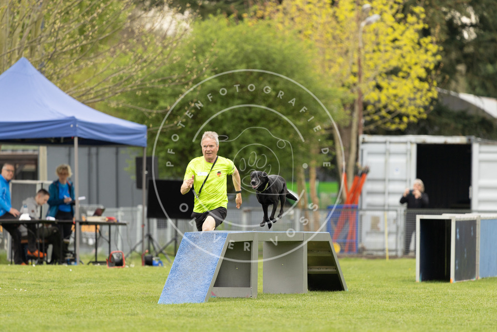 Pfotenfotografie_DV3A9134 | Hundefotografie, Tierfotograf, Pfotenfotografie, Fotoshooting Hund, Hunde Portrait, Hundesport, Hundeportraits, Heideshooting, Hunde, Sportfotograf, Hundefotograf, Turnierhundsport, THS,  - Realisiert mit Pictrs.com