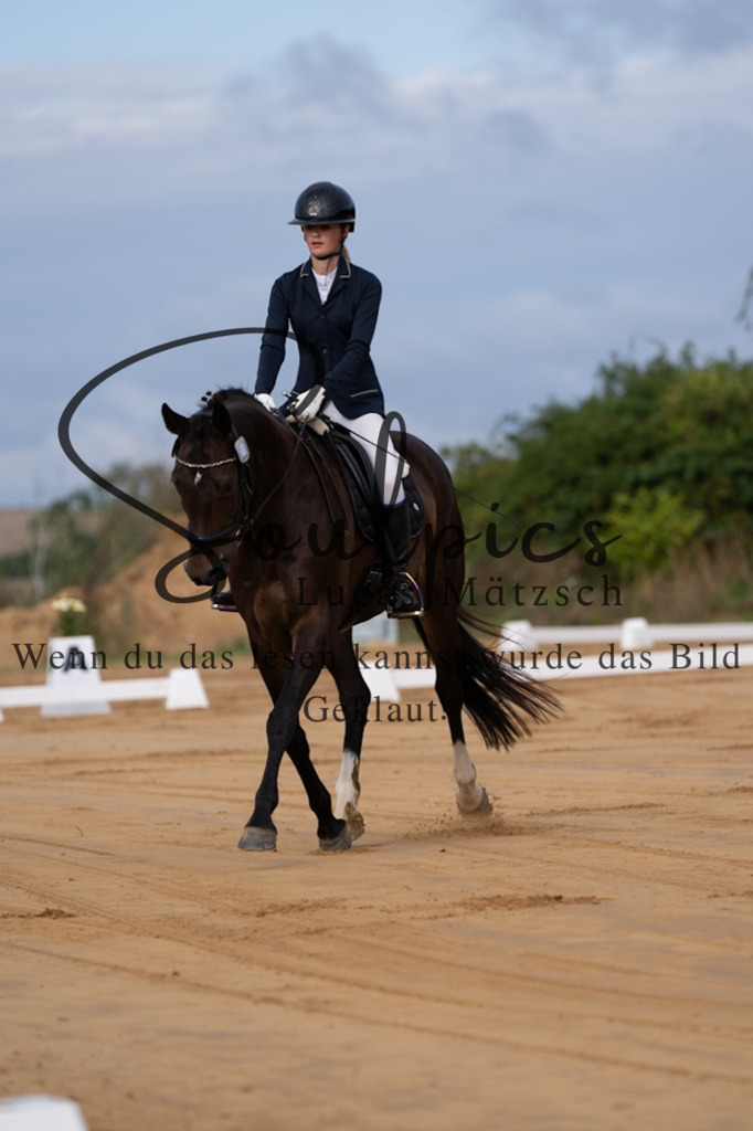 A7V05078 | Pferdefotograf