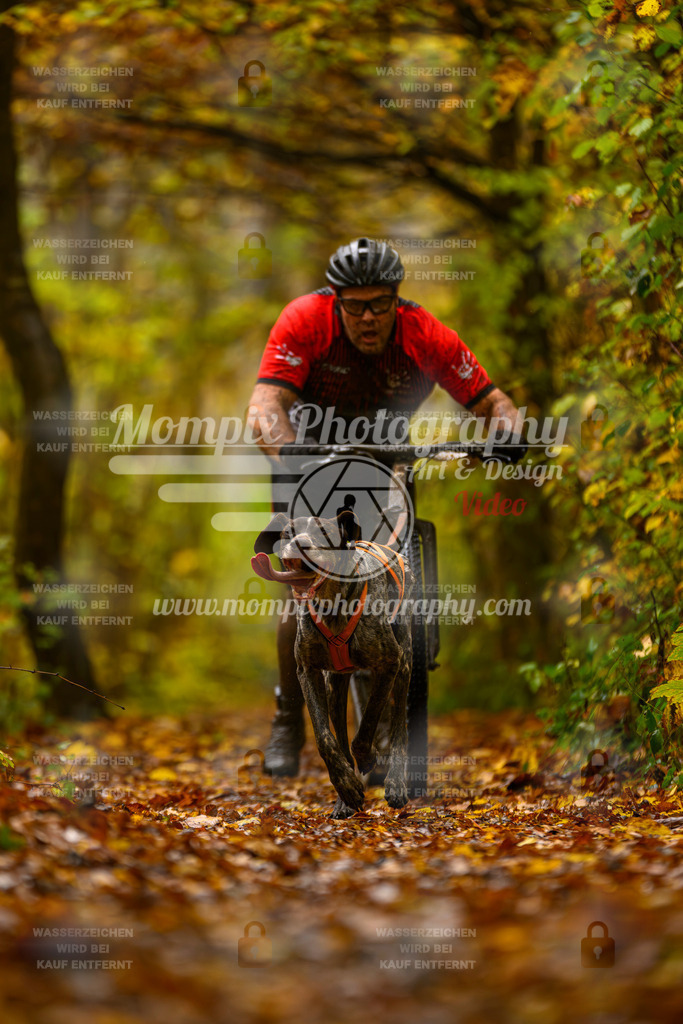 MompixPhotography_CD7S_DI_DS-14 | mompixphotography