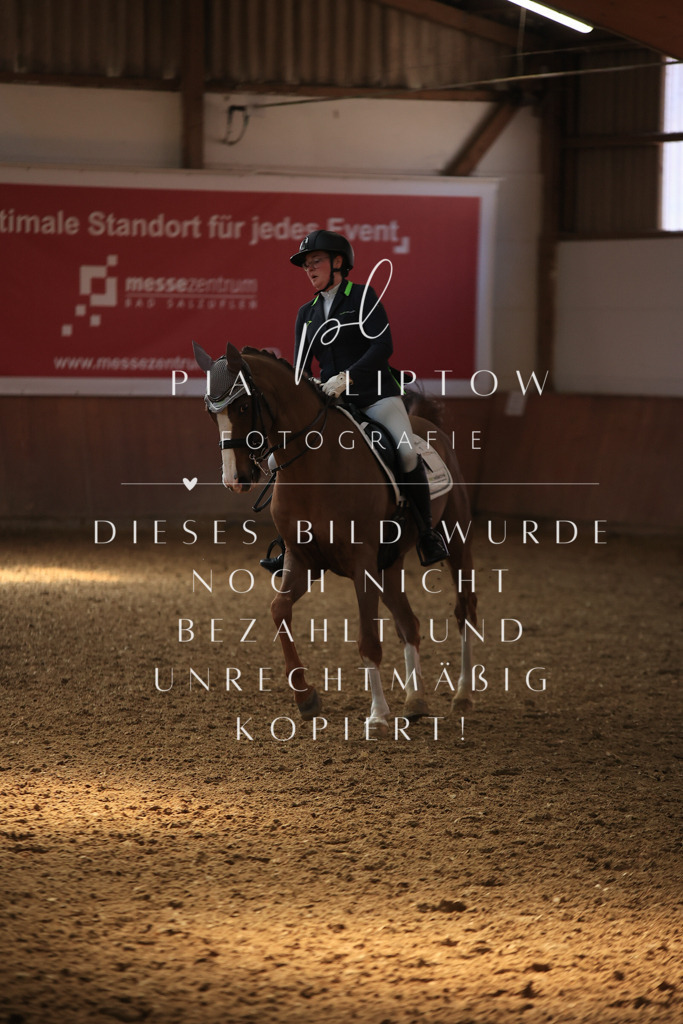 IMGT3524 | pl-fotografie