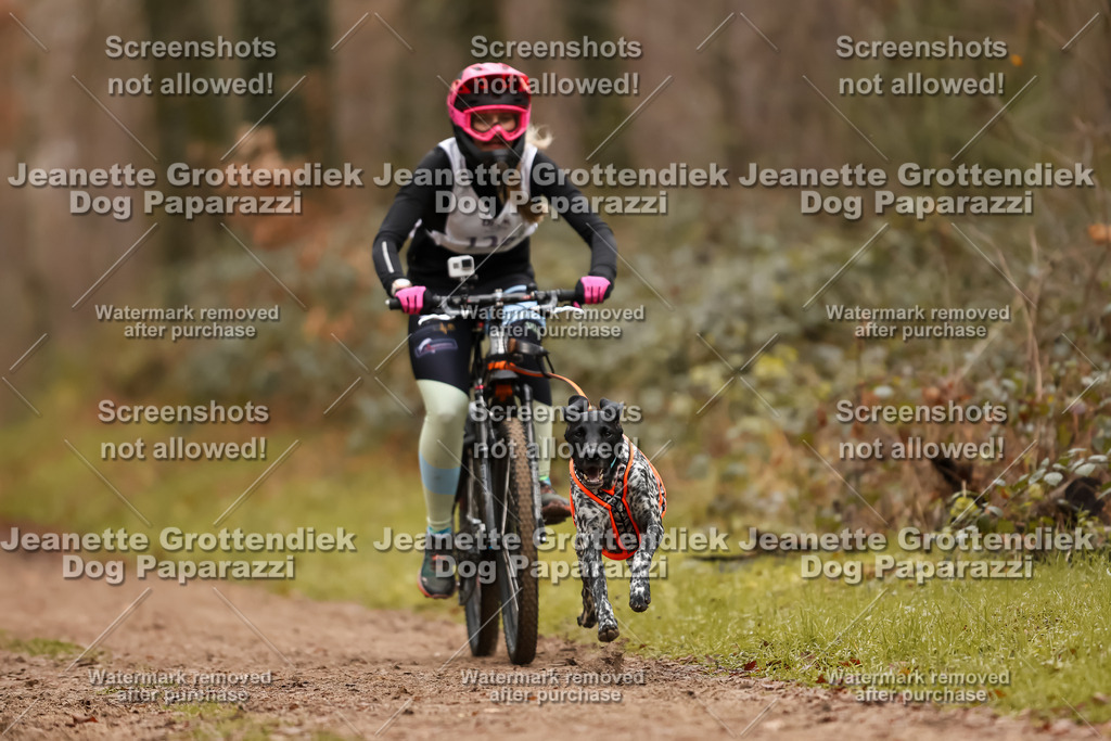 Dog Paparazzi - Speedhunter Mannheim  2025-333 | Dog Paparazzi Jeanette Grottendiek Fotografie & Videografie