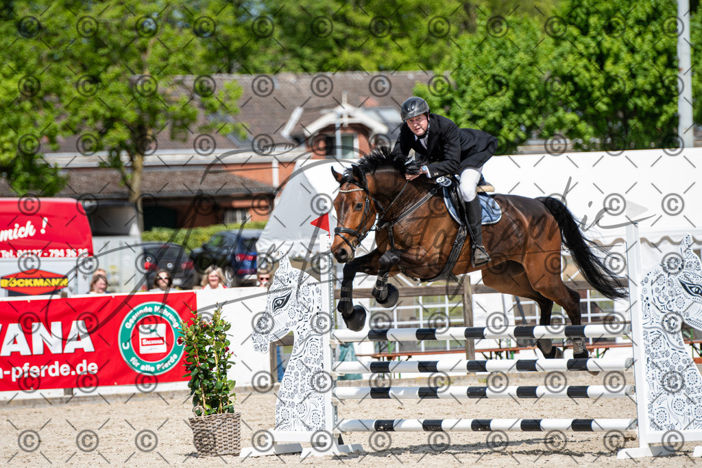 KPT_5337 | andre_photographic