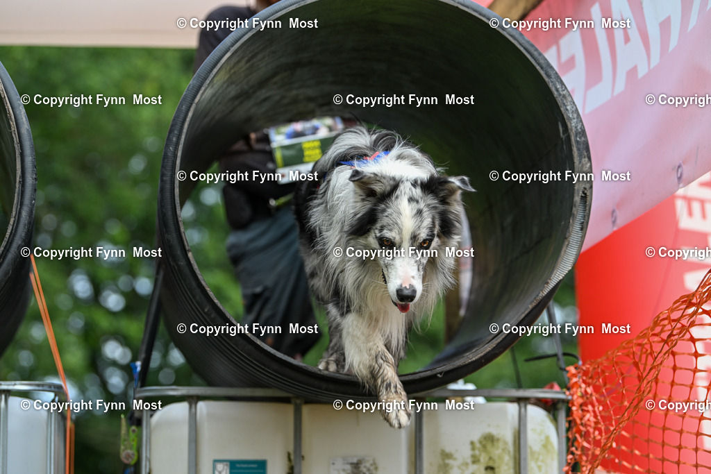 DSC_4116 | Hallo und herzlich Willkommen auf meiner Shop-Seite Fynn Most.

Ich wünsche Dir viel Spaß beim stöbern durch die Bilder, wenn Du Fragen hast oder Bilder vermisst, kannst du mir gerne eine Nachricht schreiben. - Realisiert mit Pictrs.com