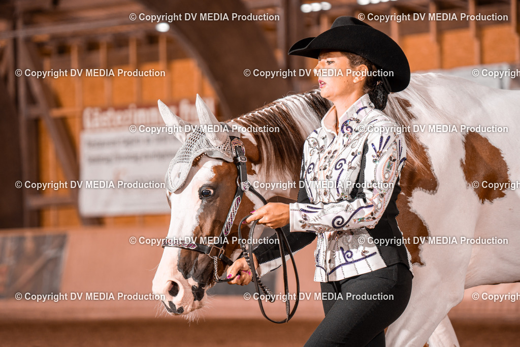 NE200085 | dv-media-shop - Realisiert mit Pictrs.com