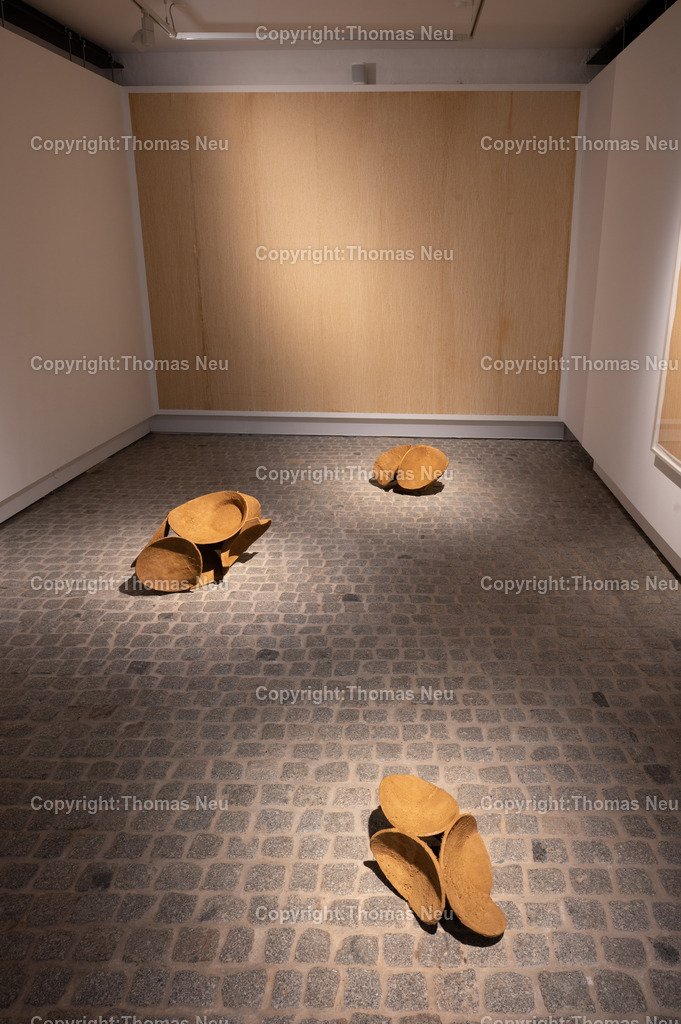 DSC_0640 | Jonas Wendelin zeigt großformatige Skulpturen und Rauminstallationen aus Ton und Lehm, basierend auf 3D‑Scans von organischen Materialien wie verrottenden Baumstämmen und archäologischen Gefäßen aus der Museums‑Sammlung. Diese Arbeiten thematisieren Material als Archiv und Informationsträger, Erosion und Zerstörung — sowohl formal als auch inhaltlich. Die Werke schaffen Spannungsfelder zwischen haptischer Realität und digitaler Wahrnehmung, und lassen Wahrnehmungskategorien wie natürlich oder künstlich verschwimmen. 
