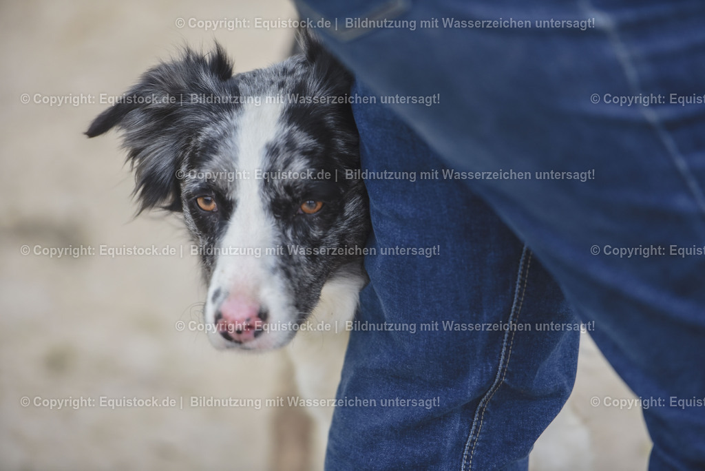 20230514_Impressionen_0197 | equistock