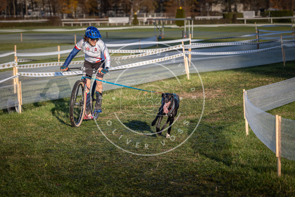 CaniXpix_0L8A3602 | Hundefotografie, Tierfotograf, Pfotenfotografie, Fotoshooting Hund, Hunde Portrait, Hundesport, Hundeportraits, Heideshooting, Hunde, Sportfotograf, Hundefotograf, Turnierhundsport, THS,  - Realisiert mit Pictrs.com