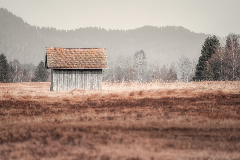 Winter ohne Schnee | Rothenthurmer Moor - Realisiert mit Pictrs.com