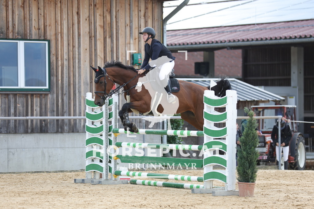 0P6A5143 | Willkommen bei Brunnmayr - Design & Fotografie – Ihrem Spezialisten für Reitturniere und Pferdeveranstaltungen in Oberösterreich, Salzburg und Bayern! Seit über 17 Jahren sind wir leidenschaftlich dabei.