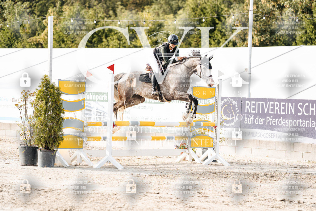 CK906599 | Turnierfotografie Pferdefotografie Trier Rheinland-Pfalz Pferdesport Reitsport Tierfotografie Sportfotografie Pferdevideo Pferdevideografie Equestrianvideography equestrianphotography  - Realisiert mit Pictrs.com