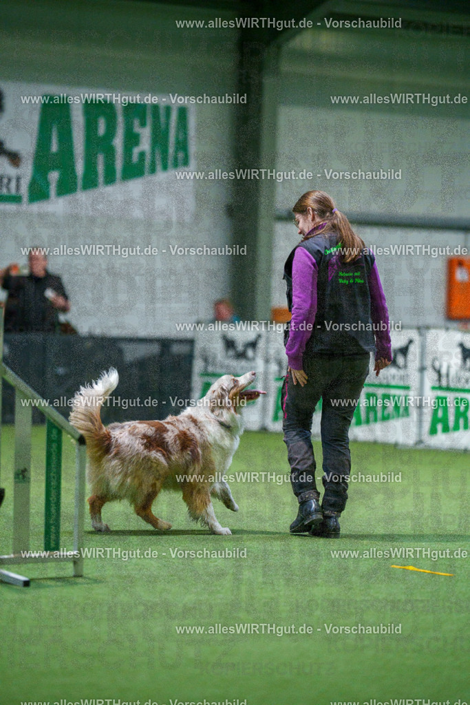 7R503867 | Professionelle Tierfotografie in Mönchengladbach von Daniel Wirth (allesWIRTHgut). Liebevolle & natürliche Bilder von Hunden & Katzen für unvergessliche Erinnerungen.