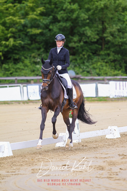 DKP45933 | Turniersportfotografie; Pferdefotografie; Dressurfotografie