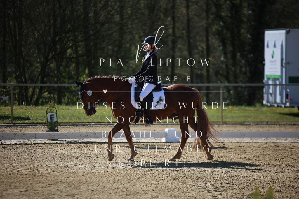 IMGT0005 | pl-fotografie