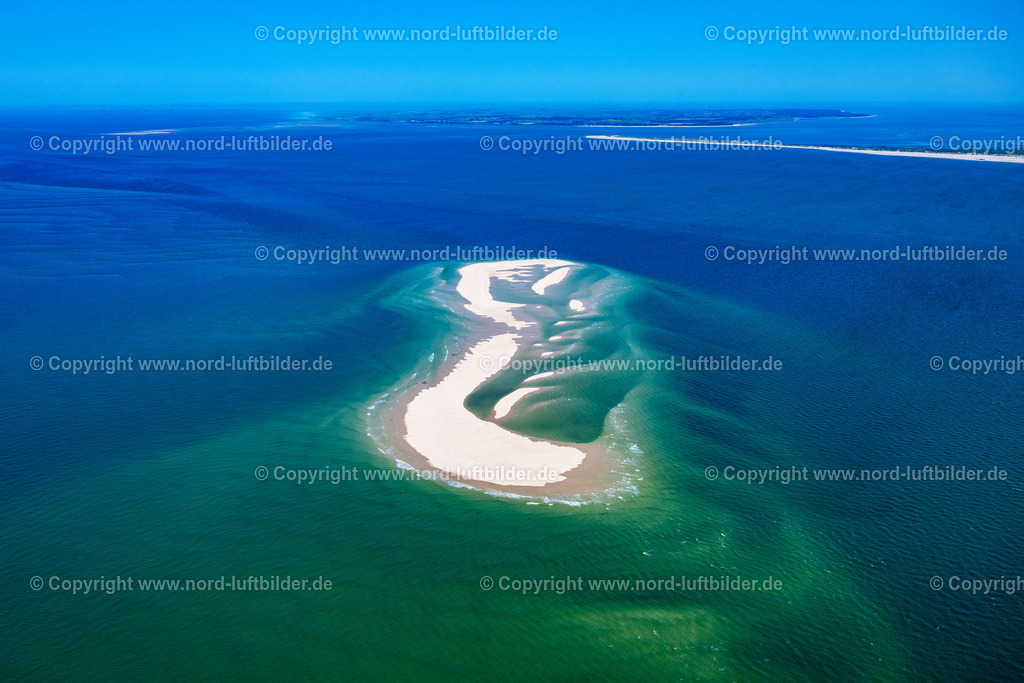 Sylt_Robben_und_Seehundbank_Vor_Sylt_ELS_9999130825 | SANDBANK VOR AMRUM SYLT 13.08.2025 Seehunde, Kegelrobben auf einer Sandbank- Landfläche in der Meeres- Wasseroberfläche Nordsee vor Amrum im Bundesland Schleswig-Holstein. // Seals on one area in the sea water surface North Sea in front of Amrum in the state Schleswig-Holstein. Foto: Martin Elsen