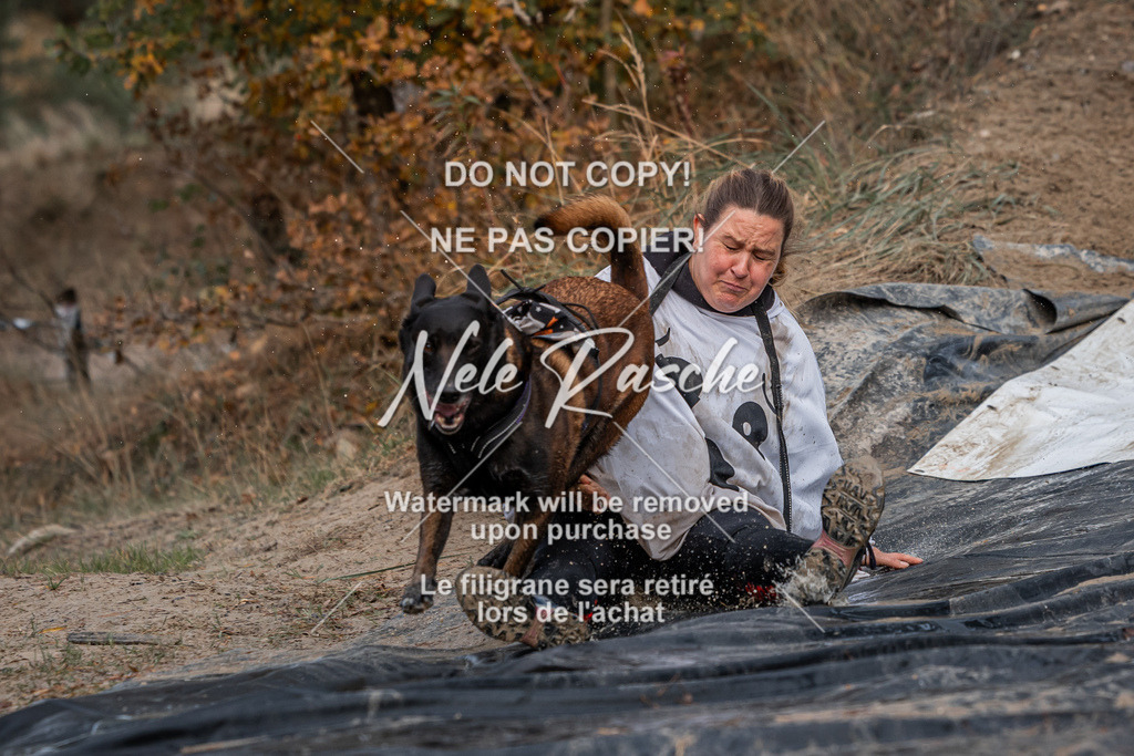 nelerasche_Creepy2025_So1200-Ende_480 | nelerasche