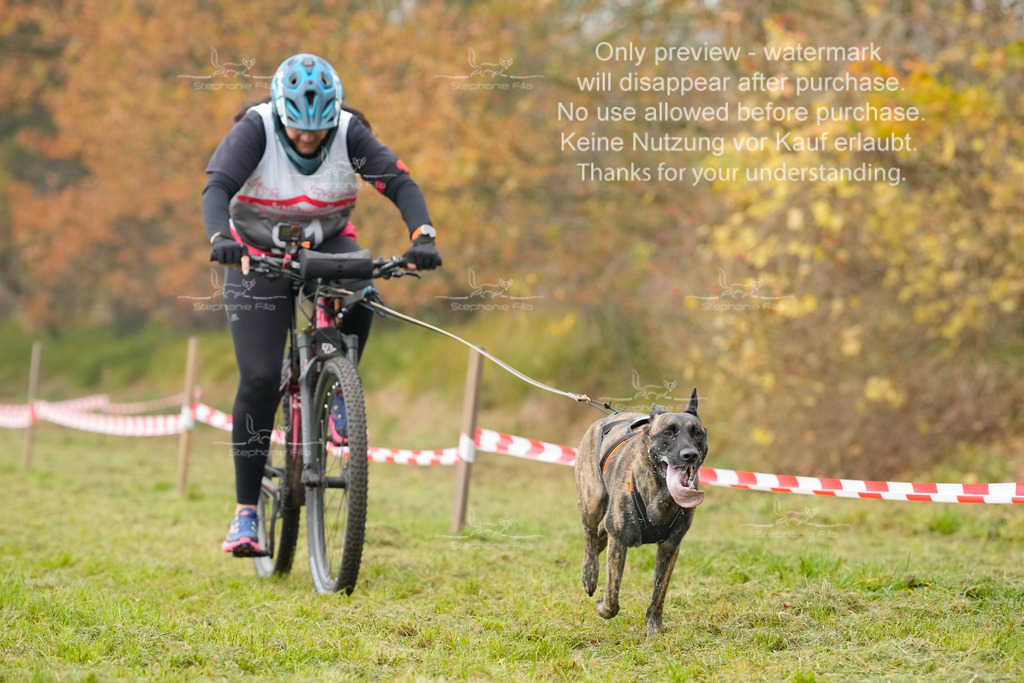 Visbeck_Sa_Bike-316 | stephaniefillaphotographie - Realisiert mit Pictrs.com