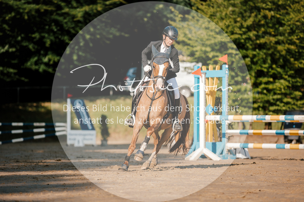 3I6A6209 | Stimmungsvolle Portraits und Reitsportfotografie im Ruhrgebiet und im Münsterland.

Pferdefotografie, Hundefotografie, Tierfotografie, Reportagen, Portraits von Tier und Mensch, Turnierfotografie in Bochum, Recklinghausen, Marl, Haltern am See, Dülmen.. - Realisiert mit Pictrs.com