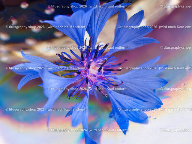 titusgraphy_P6228102-vz-ln | titusgraphy-shop: Geschenkideen mit Qualitätsfotos. titusgraphy-shop: gift ideas with quality photos. titusgraphy-shop: idées cadeaux avec photos de qualité.  - Realisiert mit Pictrs.com