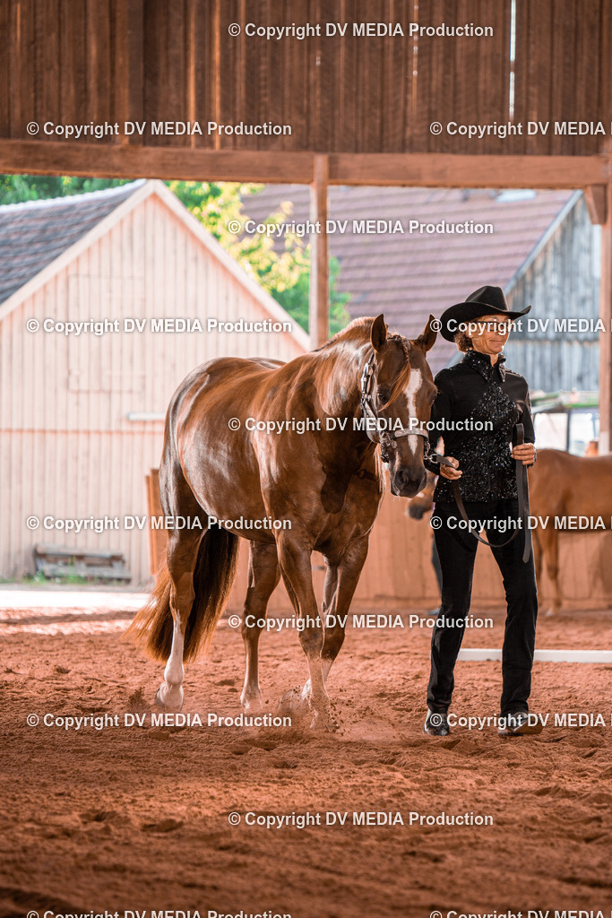 NE100111 | dv-media-shop - Realisiert mit Pictrs.com