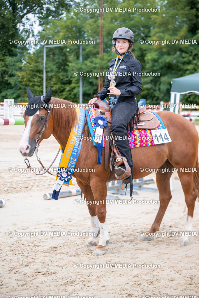 ZS3_5137 | dv-media-shop - Realisiert mit Pictrs.com