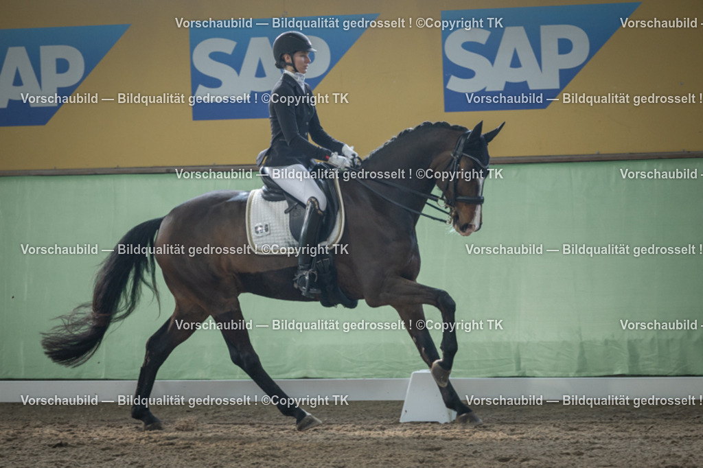 _D5A4274 | Emotionale Pferde- & People-Fotografie rund um Heidelberg, Leimen & Umgebung. Natürliche Fotos von Pferd, Mensch & Familie. Jetzt Termin sichern!