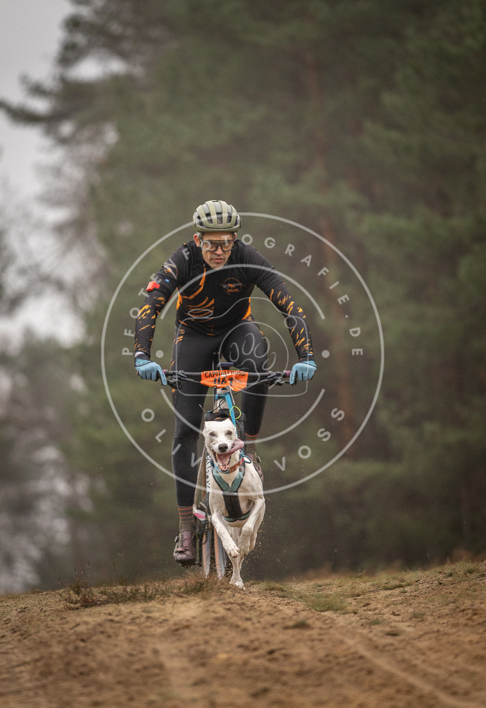 Pfotenfotografie_DV3A2445 | Hundefotografie, Tierfotograf, Pfotenfotografie, Fotoshooting Hund, Hunde Portrait, Hundesport, Hundeportraits, Heideshooting, Hunde, Sportfotograf, Hundefotograf, Turnierhundsport, THS,  - Realisiert mit Pictrs.com