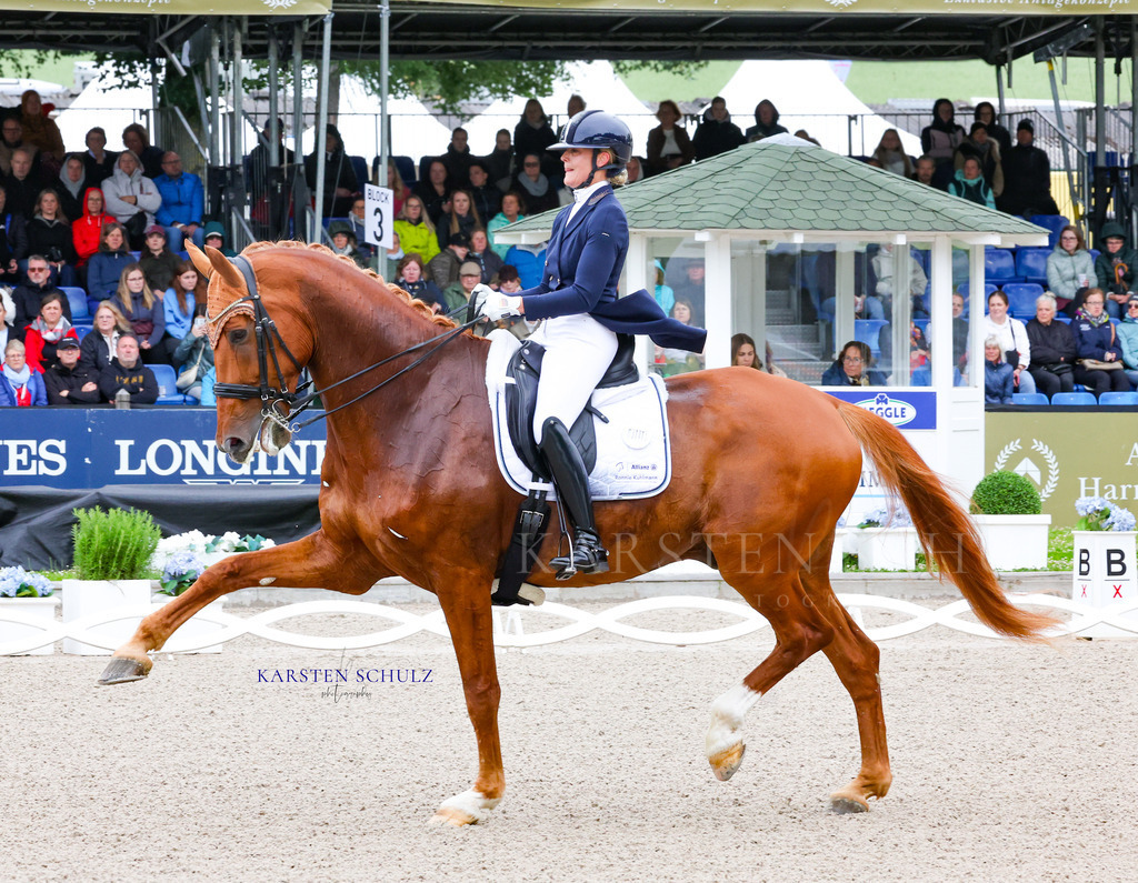 1B3A7275 | Reitsport Reiten
