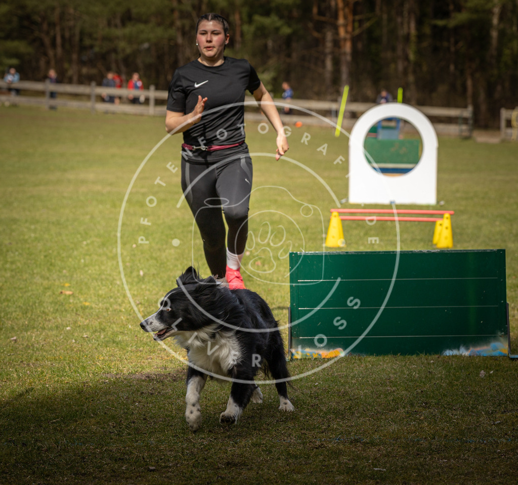 Pfotenfotografie_DV3A6034 | Hundefotografie, Tierfotograf, Pfotenfotografie, Fotoshooting Hund, Hunde Portrait, Hundesport, Hundeportraits, Heideshooting, Hunde, Sportfotograf, Hundefotograf, Turnierhundsport, THS,  - Realisiert mit Pictrs.com
