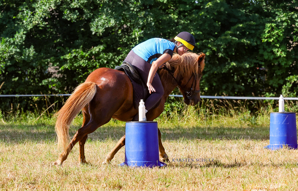 1B3A8728 | Reitsport Reiten