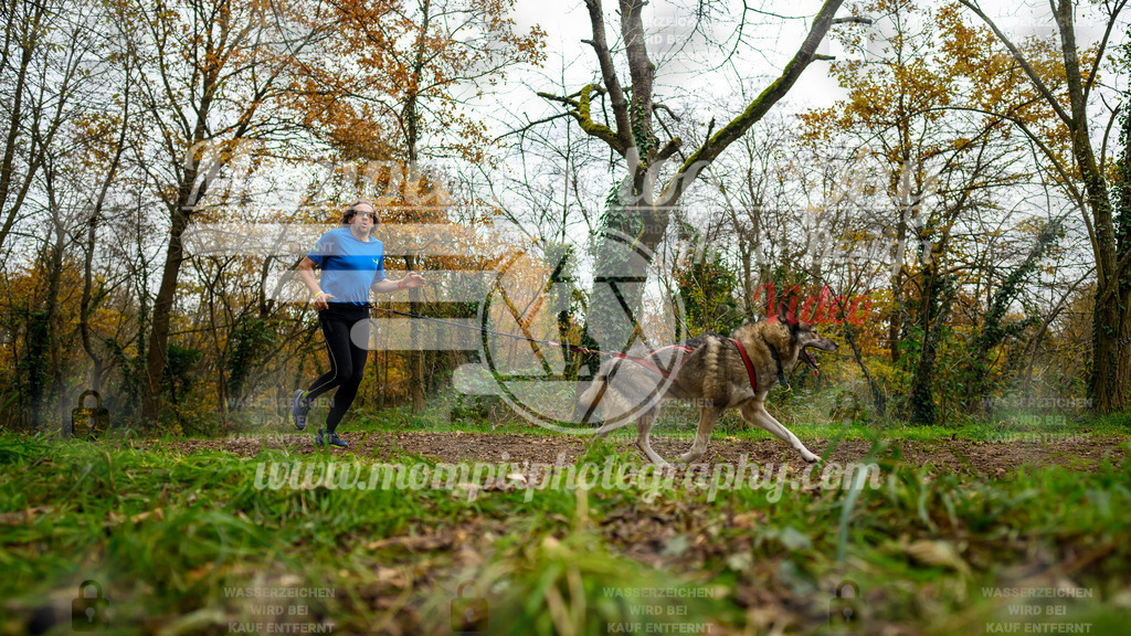 MompixPhotography_Bischwiller24_DI_CoursedeRelais-31 | PayLife