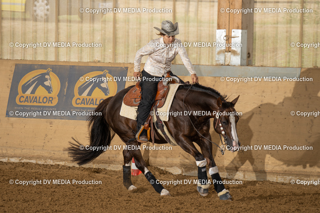 LAU01544 | dv-media-shop - Realisiert mit Pictrs.com