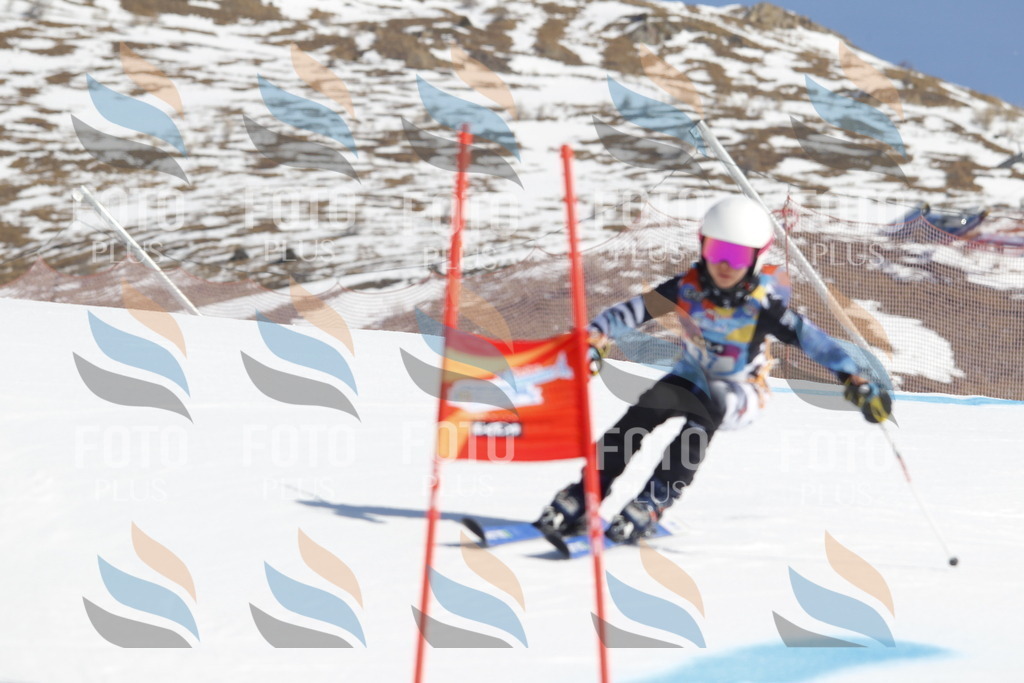 _U3G8796 | holidayphoto