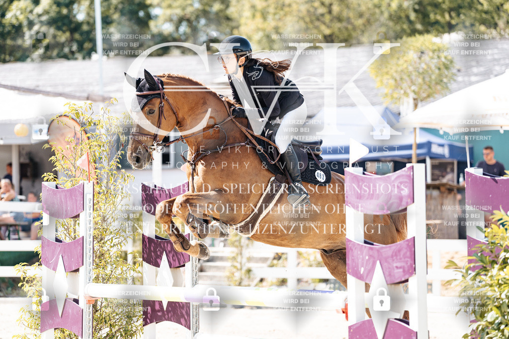 CK908845 | Turnierfotografie Pferdefotografie Trier Rheinland-Pfalz Pferdesport Reitsport Tierfotografie Sportfotografie Pferdevideo Pferdevideografie Equestrianvideography equestrianphotography  - Realisiert mit Pictrs.com