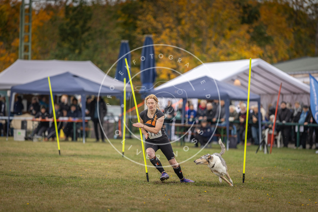 Pfotenfotografie_DV3A7560 | Hundefotografie, Tierfotograf, Pfotenfotografie, Fotoshooting Hund, Hunde Portrait, Hundesport, Hundeportraits, Heideshooting, Hunde, Sportfotograf, Hundefotograf, Turnierhundsport, THS,  - Realisiert mit Pictrs.com