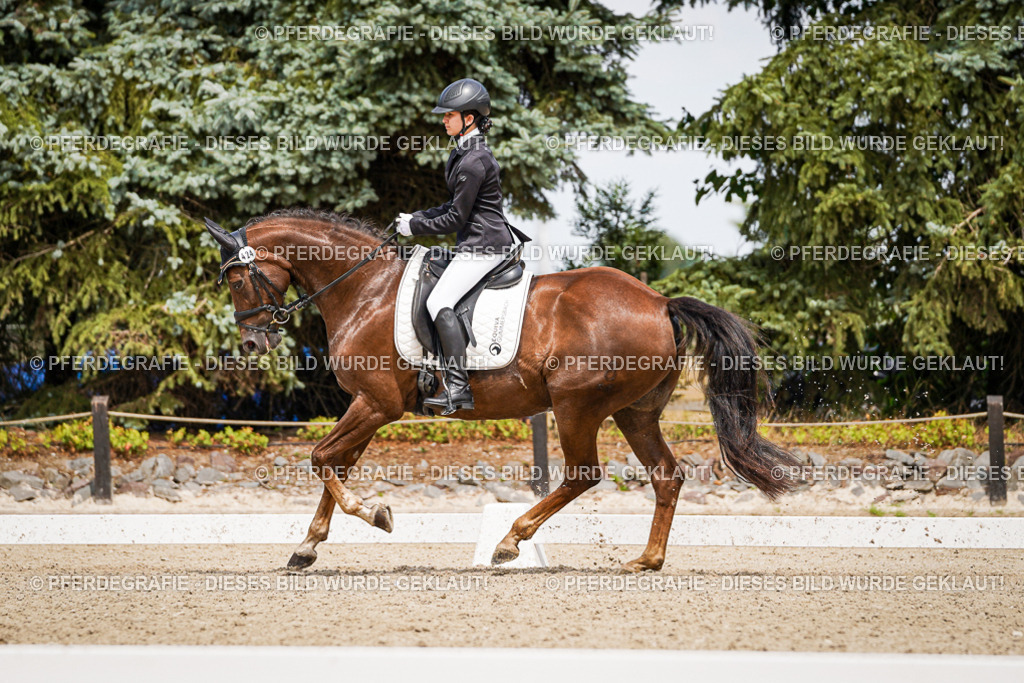 DSC03659 | Pferdegrafie