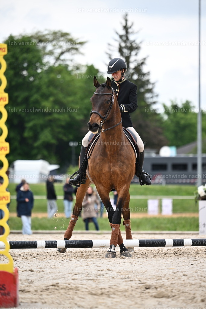 PI26_SP_Sara_Landvogt_226_4869.JPG | working equitationturnier fotograf videograf stoibphotography marixx film working equitation deutschland reitsport turnierfotografie eventfotografie equestrian events