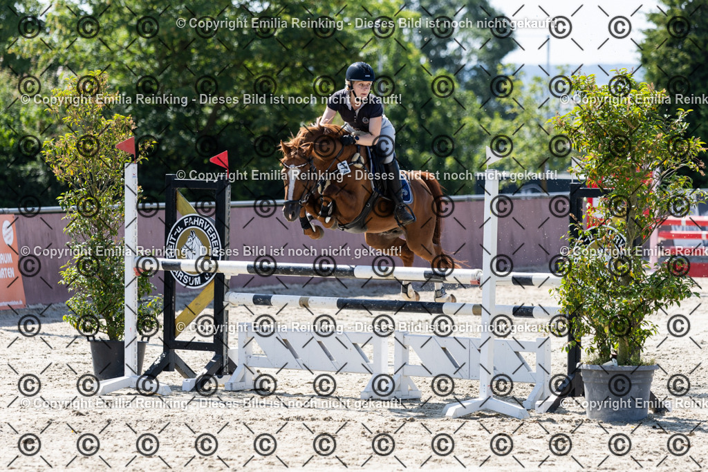 CL5A3164 | Emilia Reinking Fotografie - Realisiert mit Pictrs.com