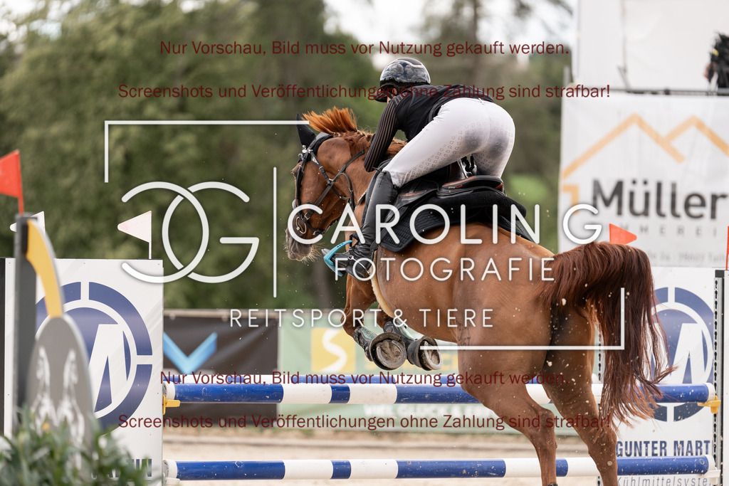 DSC06748 | Springturnier_Teamchallege_Talheim_2026, Lara-Sophie_Strom, Nectarine_V.D.Wart