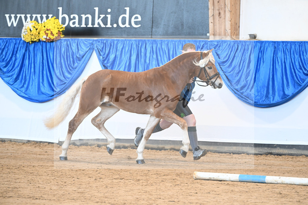 Kat-Nr. 1 Akito v. Ace of Hearts_Oswald_48250777 | hf-fotografie - Realisiert mit Pictrs.com