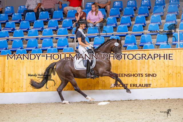 SLP 2 (454 von 1007) | mandyhollmannphotographie
