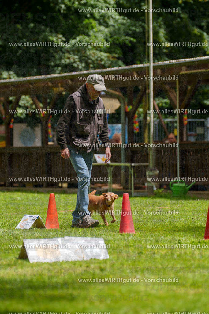 @allesWIRTHgut_Tierfotografie - www.allesWIRTHgut.de - 121716-7R508797 | Professionelle Tierfotografie in Mönchengladbach von Daniel Wirth (allesWIRTHgut). Liebevolle & natürliche Bilder von Hunden & Katzen für unvergessliche Erinnerungen.