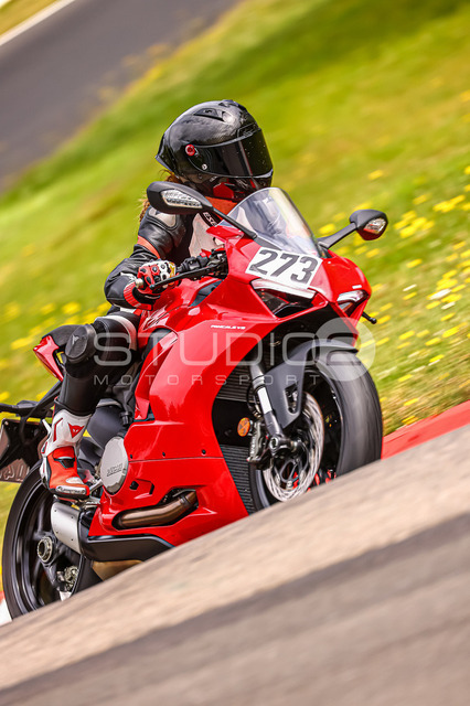 0273-240723_NS-050_273 | Deine Full-Service-Agentur für ✔️Videoproduktionen und ✔️Motorsportfotografie Jetzt Angebot anfragen!