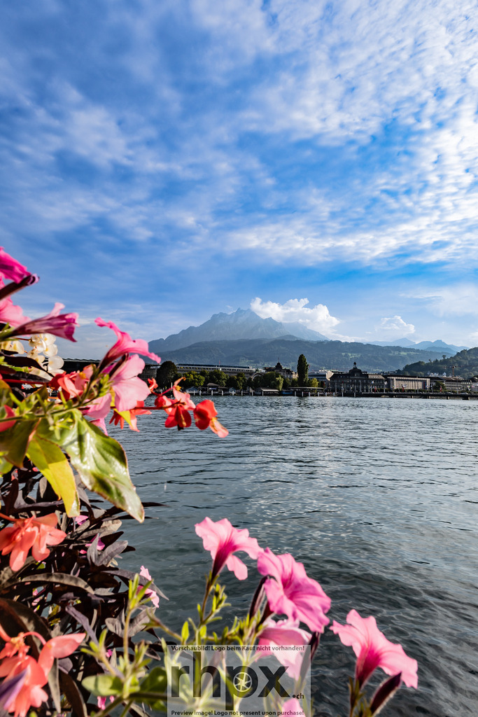 _MG_2152 | Stimmungsvolle Fotokunst aus Luzern. Erlebe den Pilatus, den See und die Stadt Luzern in exklusiven Aufnahmen in der Fotogalerie & Shop. - Realisiert mit Pictrs.com