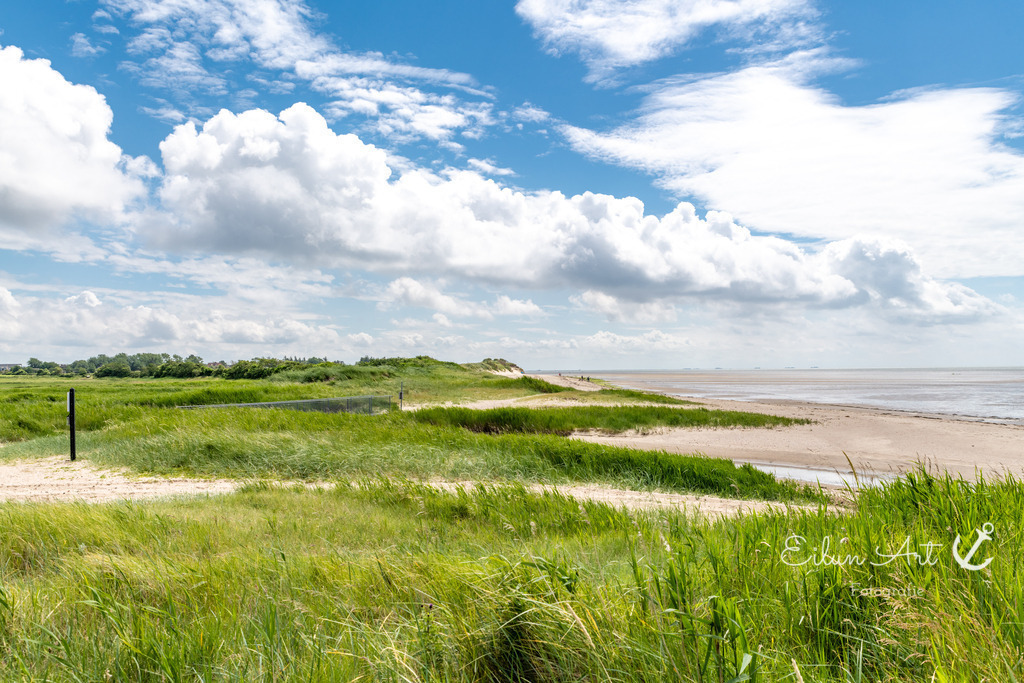 20240616-EAF_2110 | Eilun-Art-Fotografie Levke Martens, ihre Fotografin für Immobilien- und Landschaftsfotografie auf Föhr, Föhrer Motive als Poster, Leinwand, hinter Acrylglas oder stelle dir deinen eigenen Monatskalender zusammen, mit nur einem Klick