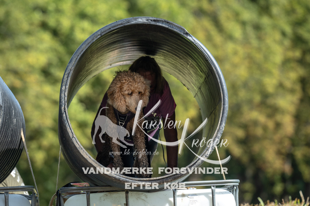 1302_ZZ91742 | kk-dogfotos