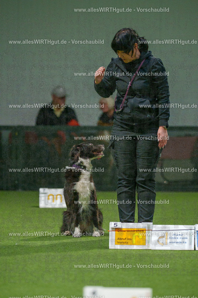 7R507285 | Professionelle Tierfotografie in Mönchengladbach von Daniel Wirth (allesWIRTHgut). Liebevolle & natürliche Bilder von Hunden & Katzen für unvergessliche Erinnerungen.